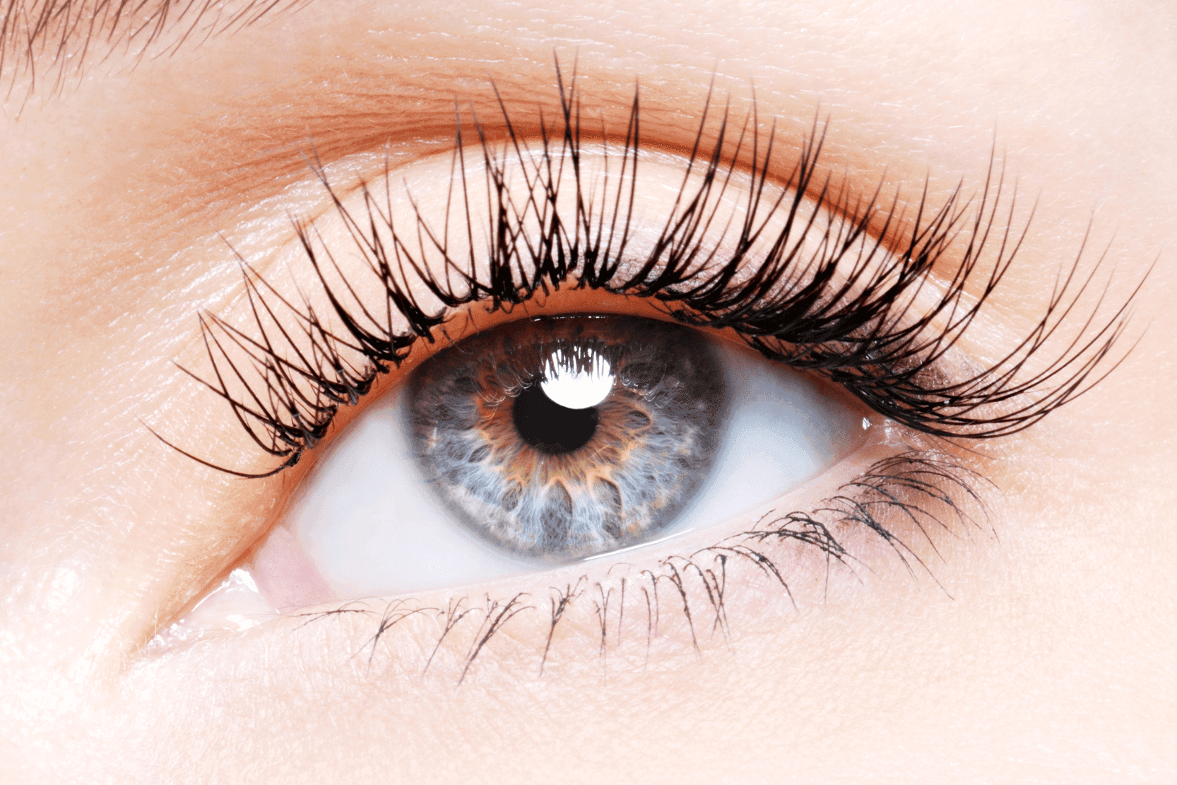 Rehaussement de cils : nos conseils pour définir des tarifs compétitifs et attractifs.